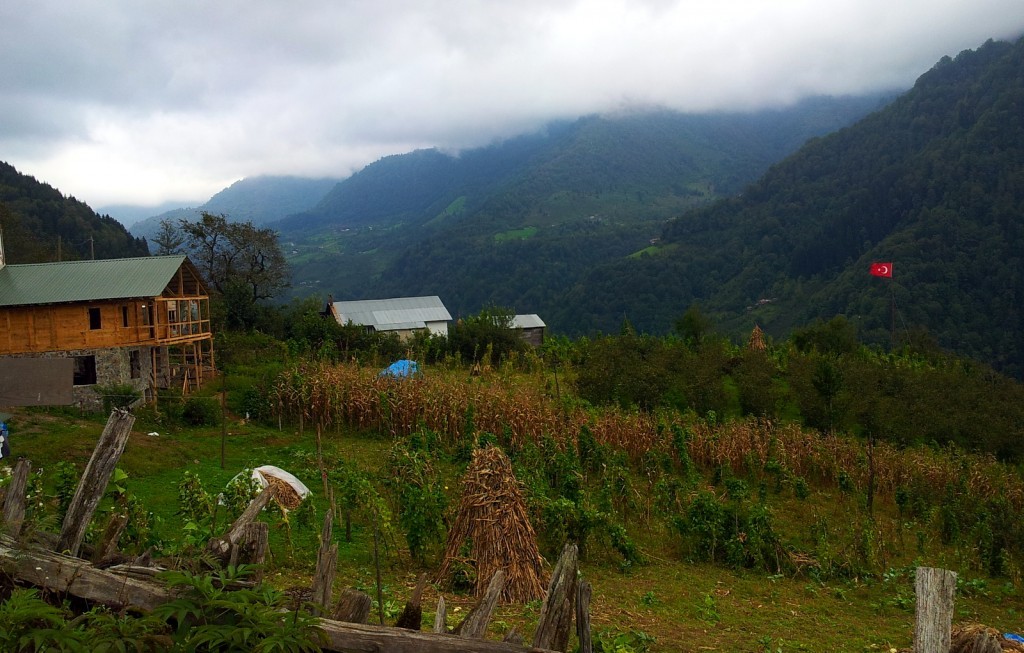 20140918_152235.jpg