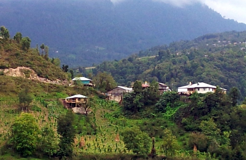 20140918_155346.jpg