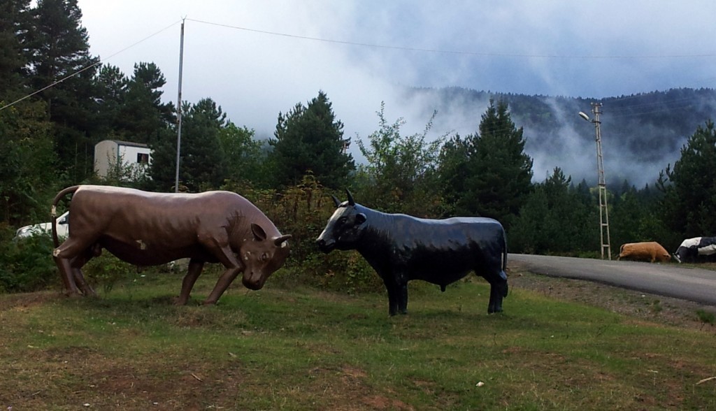 20140919_163111.jpg
