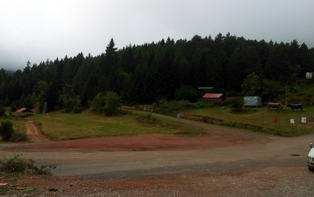 20140920_103937.jpg