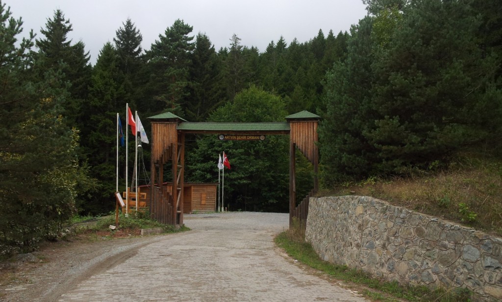20140920_104242.jpg