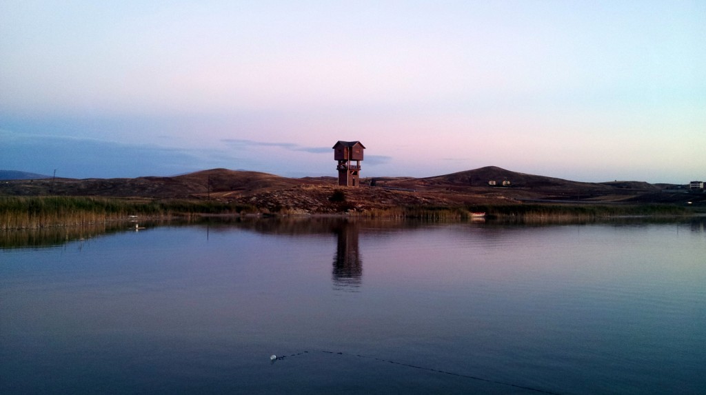 20140922_183812.jpg