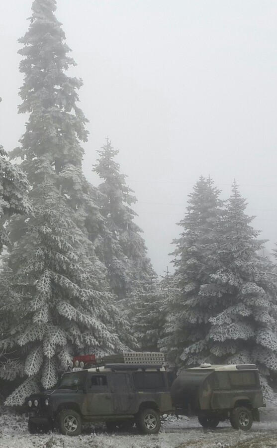 20141123_104418-1-1.jpg