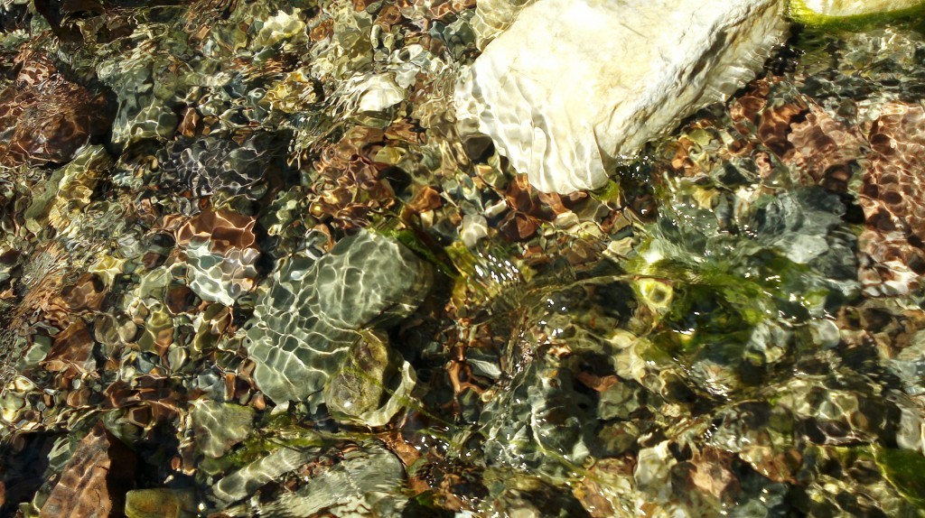 2015-03-13-1714.jpg