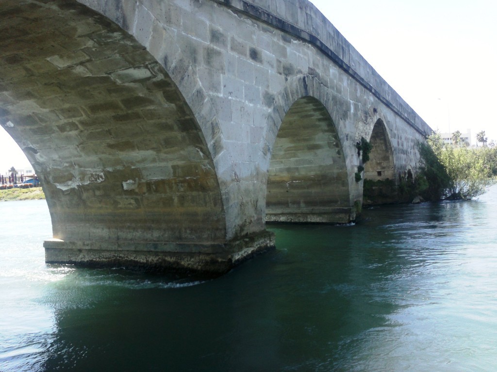 2015-04-13-1764.jpg
