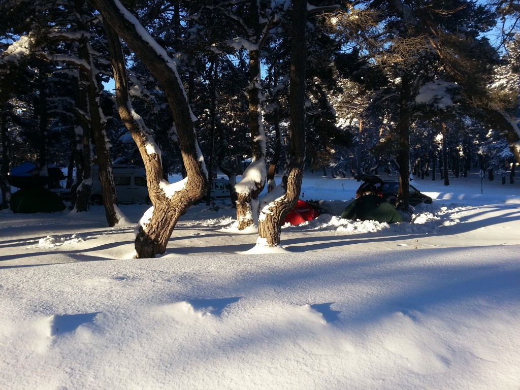 20150221_072450.jpg