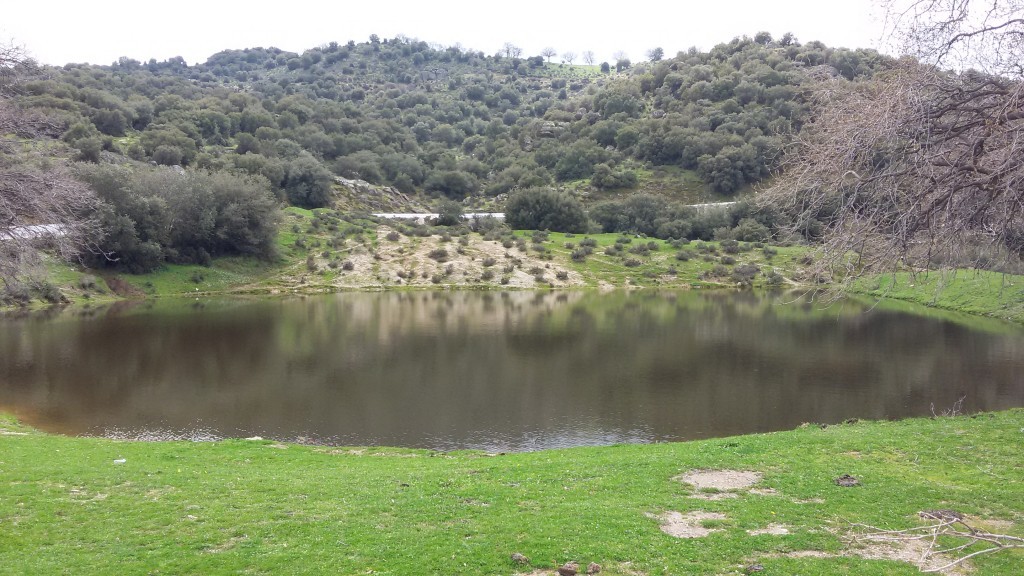 20150315_131755.jpg