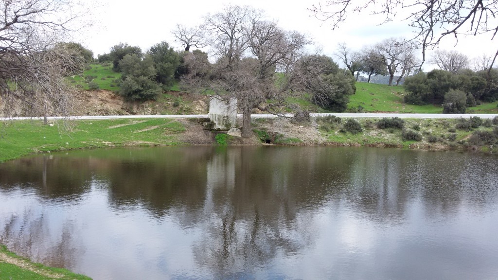 20150315_131852.jpg