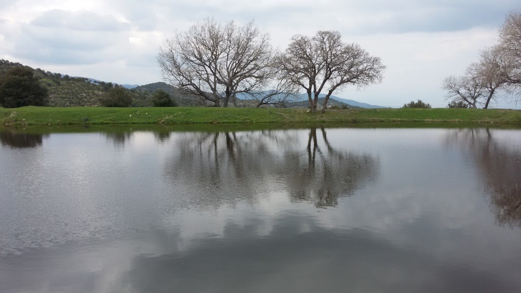 20150315_132116.jpg