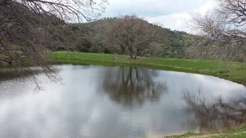 20150315_132219.jpg