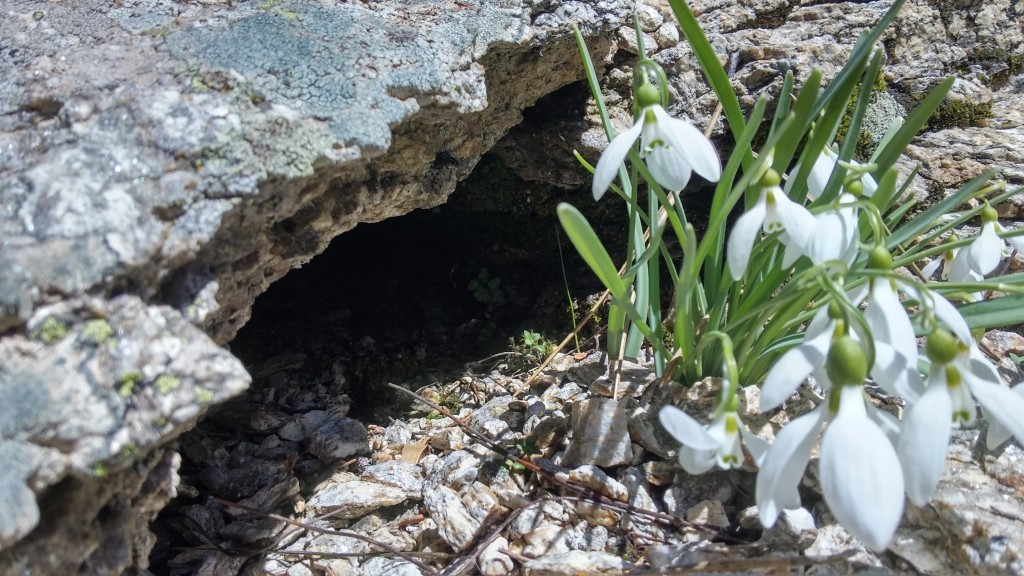 20150404_124347_HDR.jpg