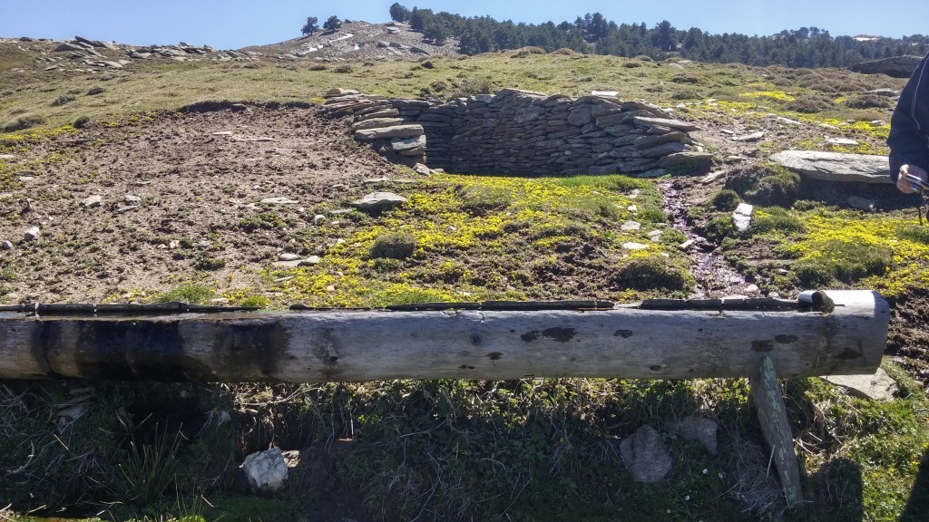 20150404_130937_HDR.jpg