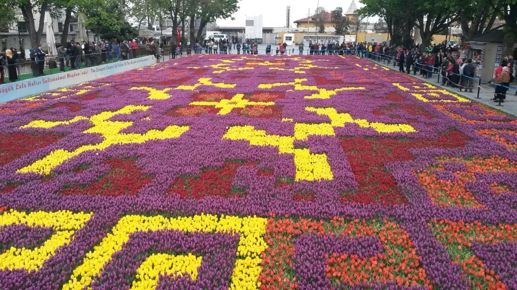 20150423_164306.jpg