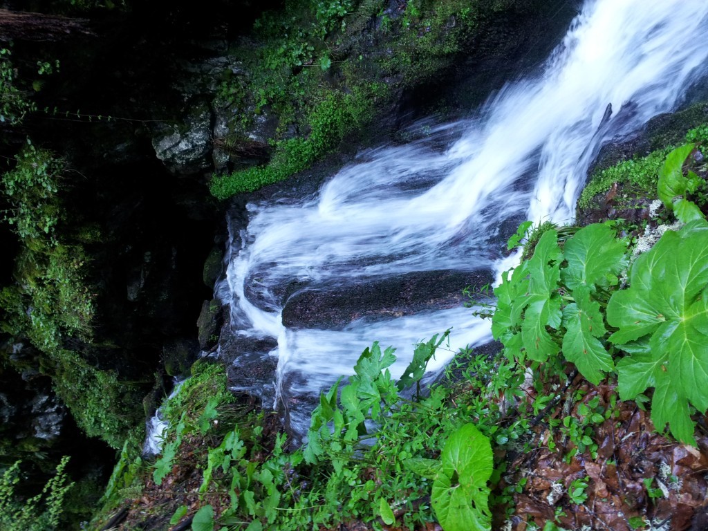 20150509_073400.jpg