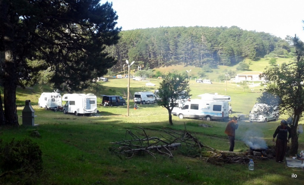 20150613_083235.jpg