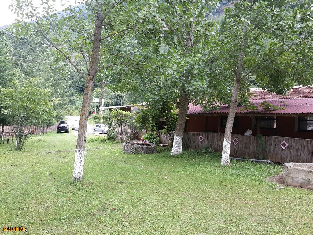 20150717_152741_resized.jpg