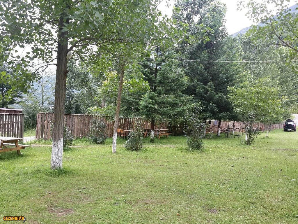 20150717_152744_resized.jpg