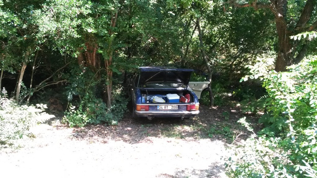 20150717_160337.jpg