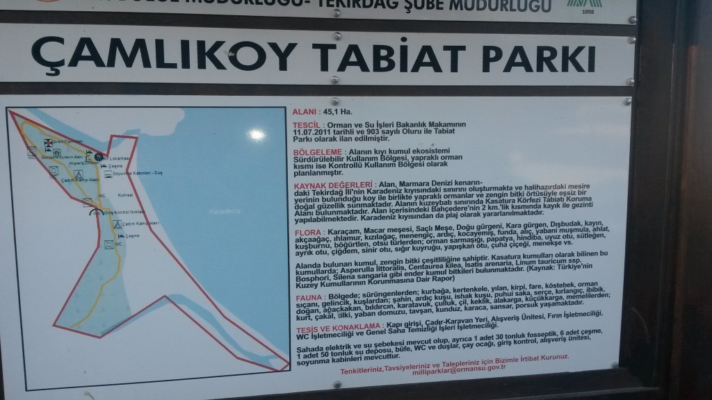 20150717_193528.jpg