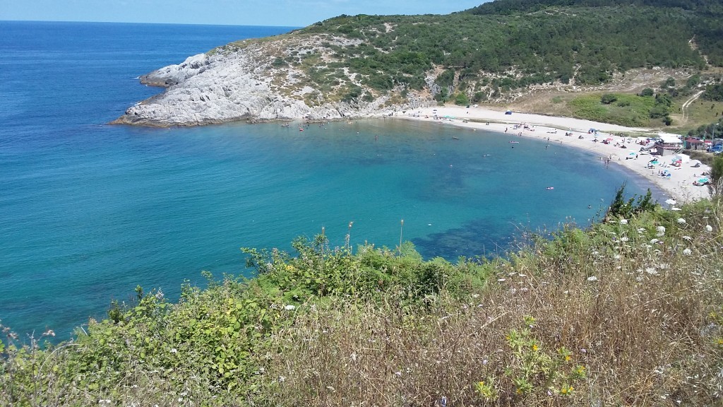 20150721_141720.jpg