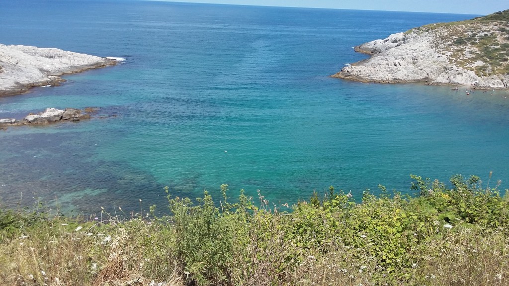 20150721_141722.jpg