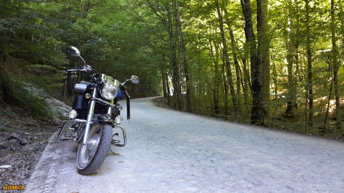 20150902_101158[1].jpg