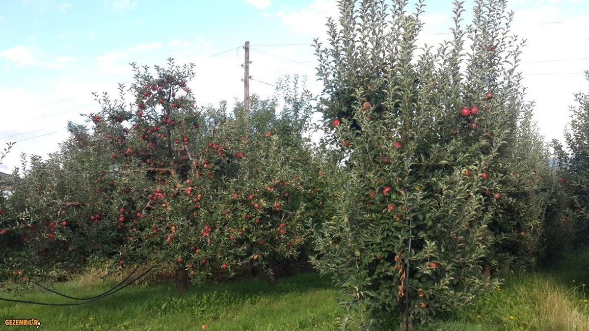20150927_162623.jpg