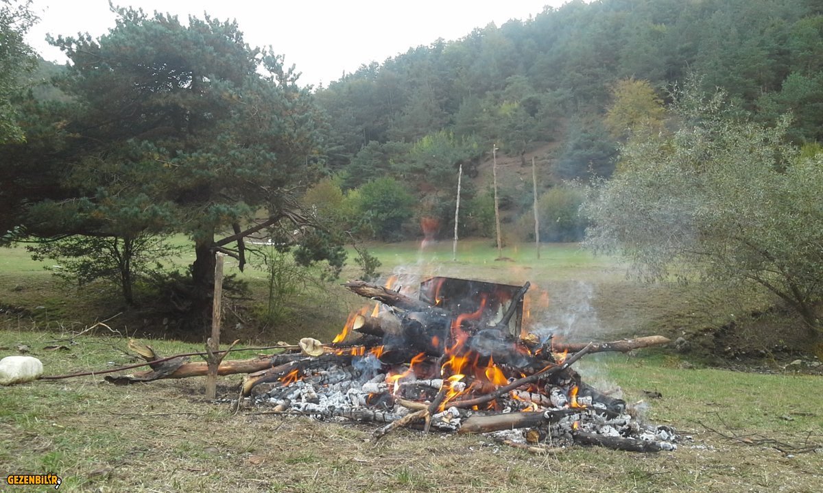 20151013_145726.jpg