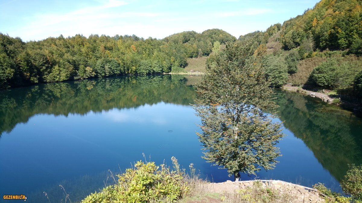 20151018_114711.jpg