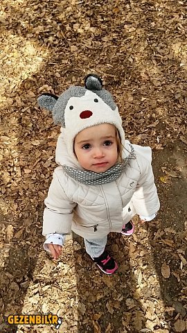 20151108_114109_Richtone(HDR).jpg