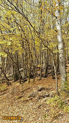 20151108_114621_Richtone(HDR).jpg