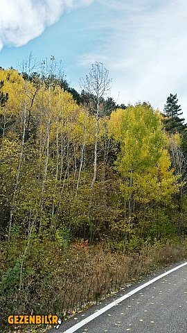 20151108_125848_Richtone(HDR).jpg