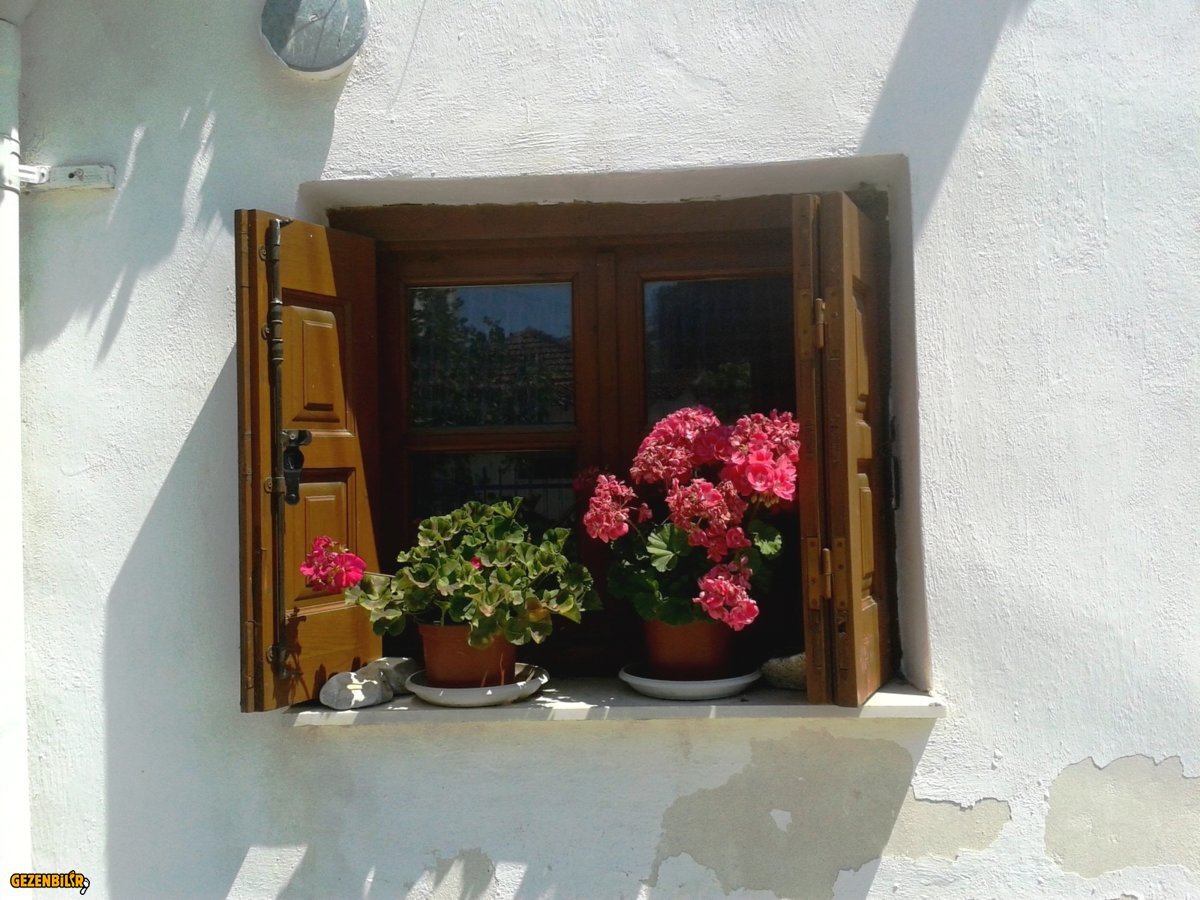 20160528_120337.jpg