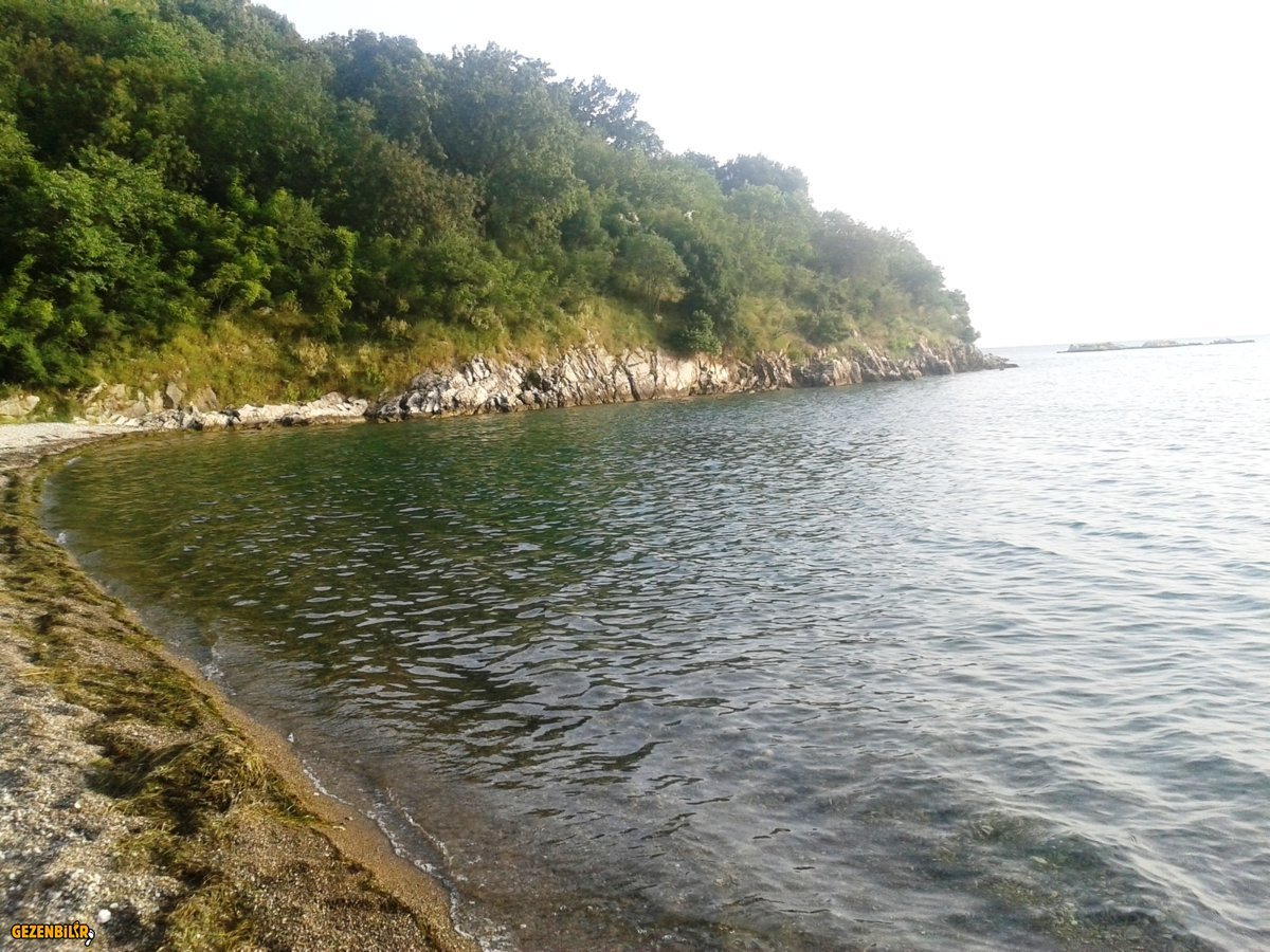 20160621_195937.jpg