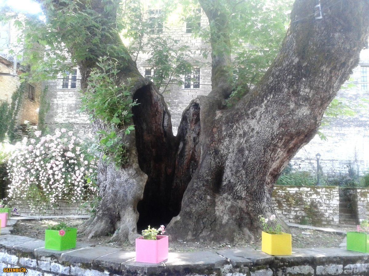 20160622_151418.jpg