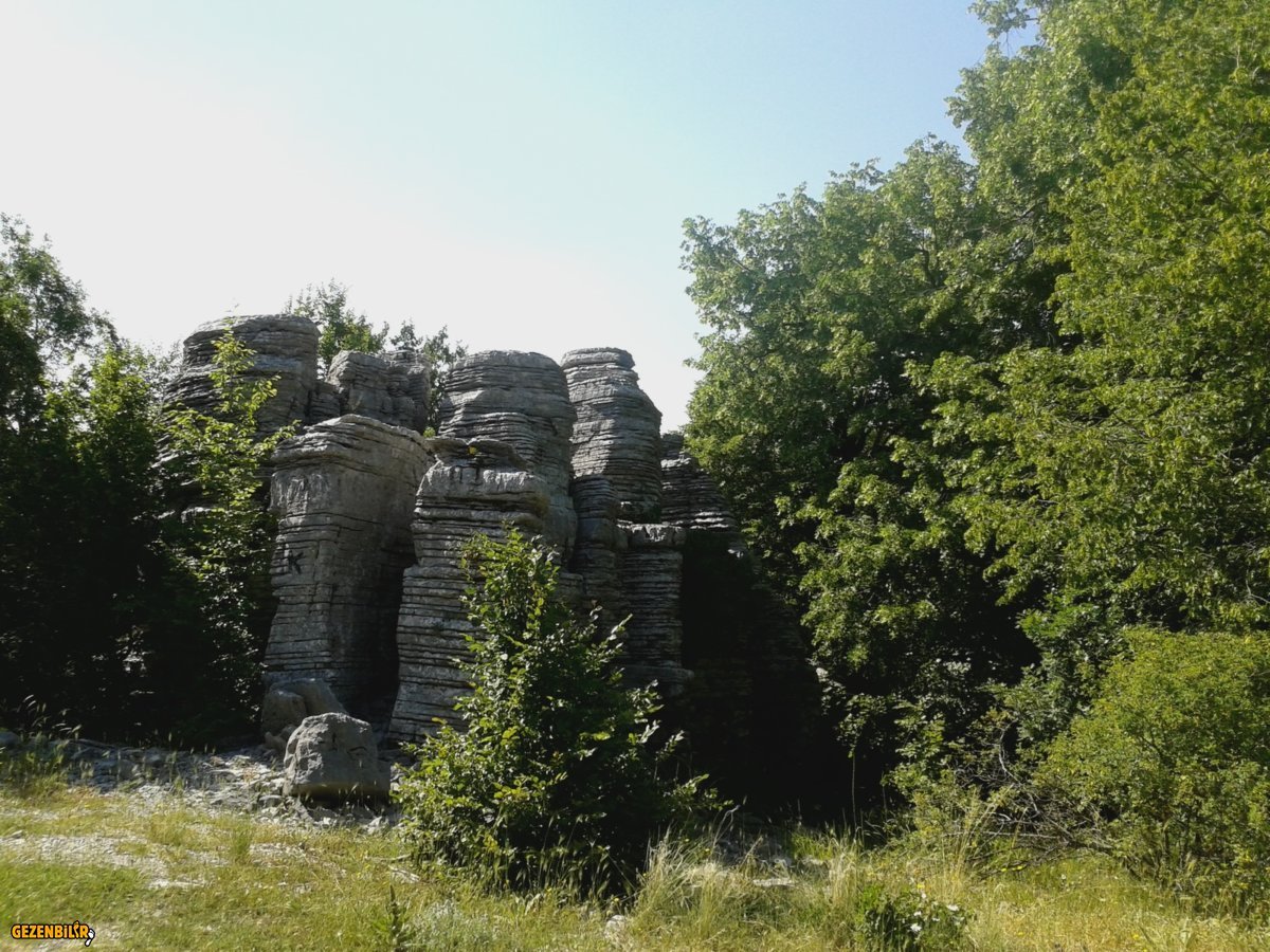 20160623_100801.jpg