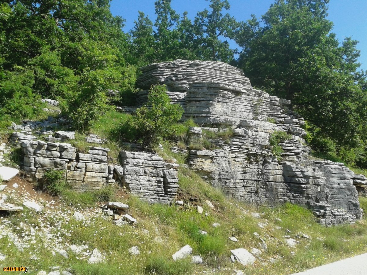 20160623_101210.jpg