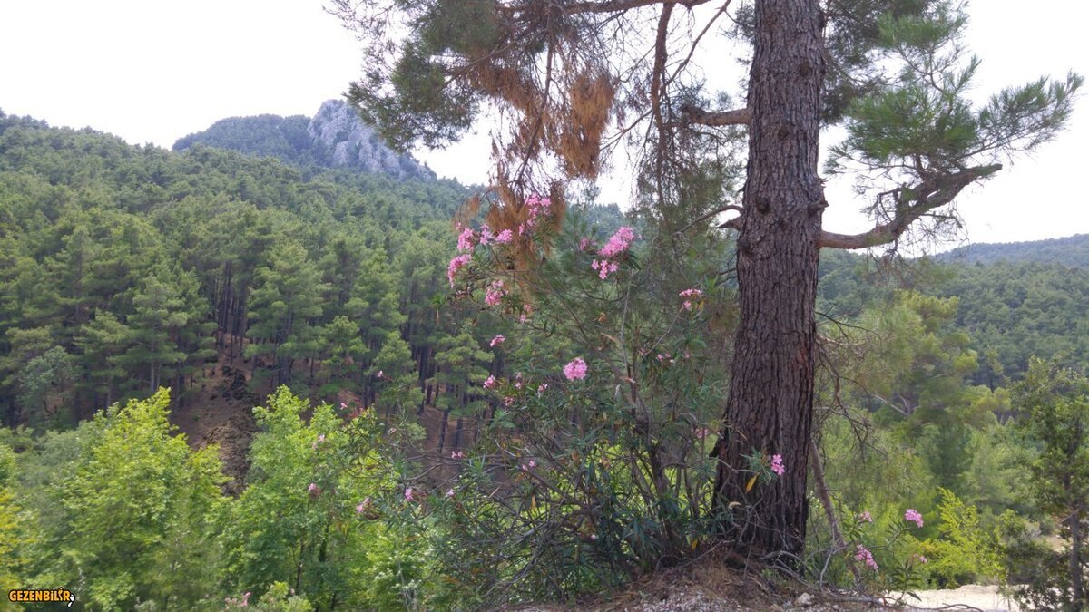 20160704_133626.jpg