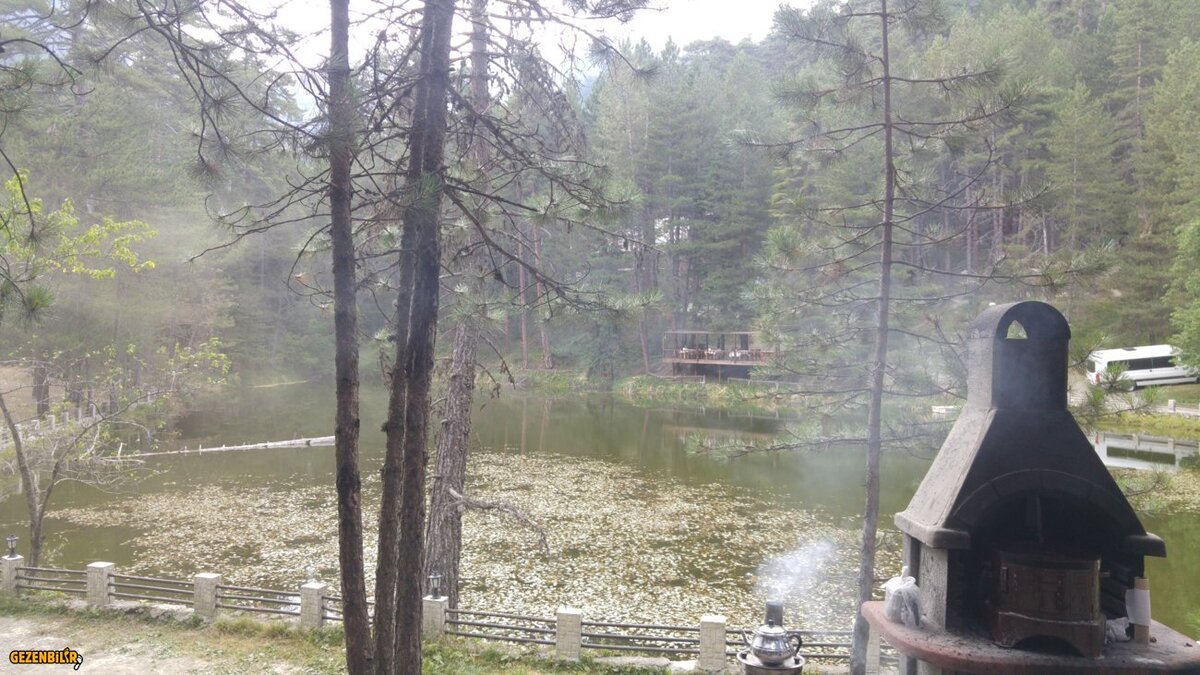 20160730_155215.jpg