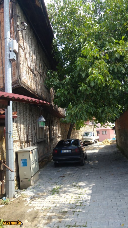 20160824_121720.jpg