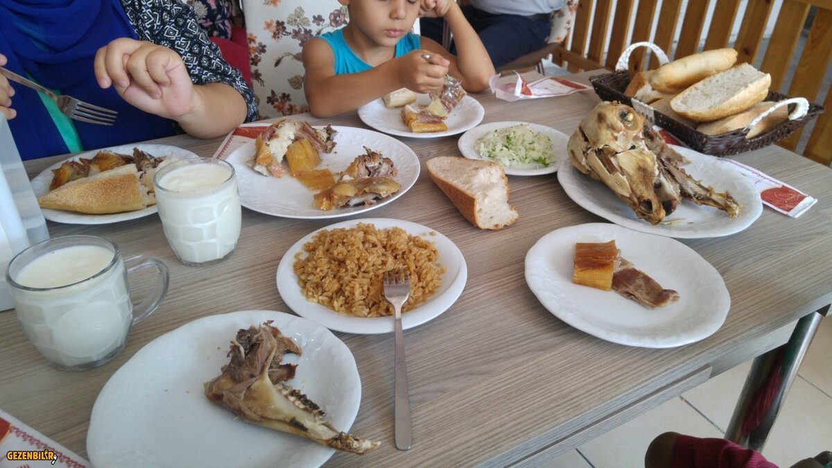 20160824_134358.jpg