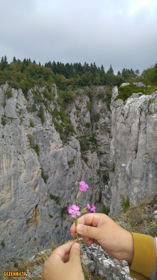 20160825_135945.jpg