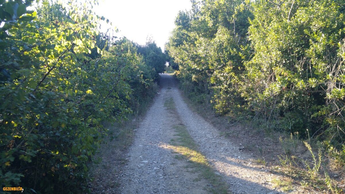 20160916_173331.jpg