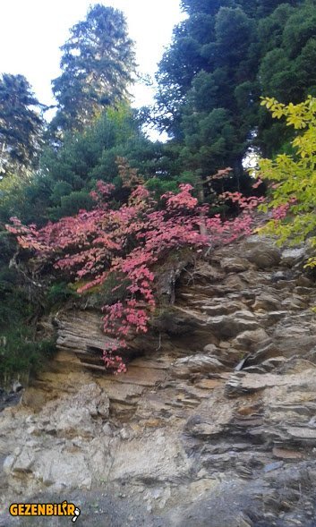20161006_121123.jpg