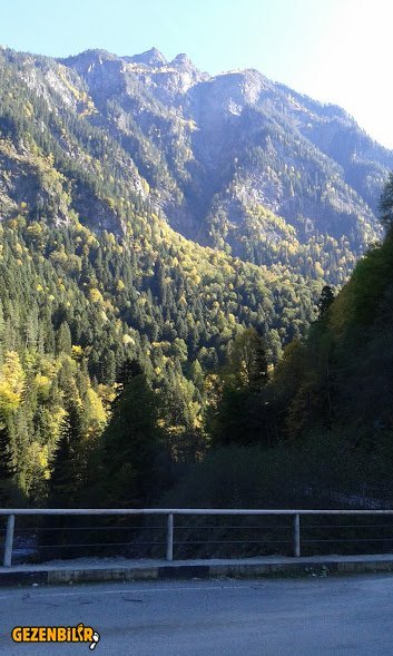 20161006_154150.jpg