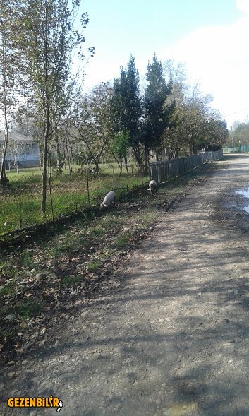 20161007_114854.jpg