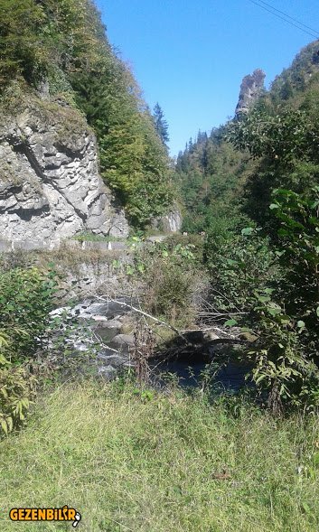 20161008_124925.jpg