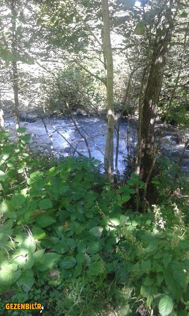 20161008_125144.jpg