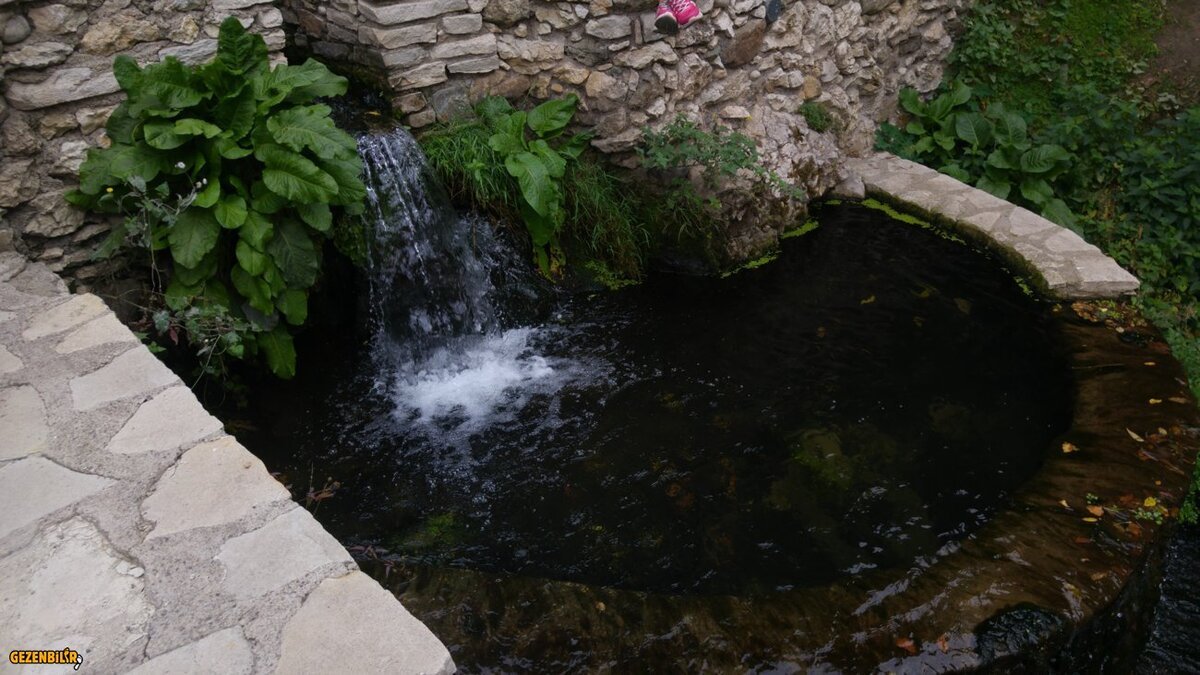 20161015_141621.jpg