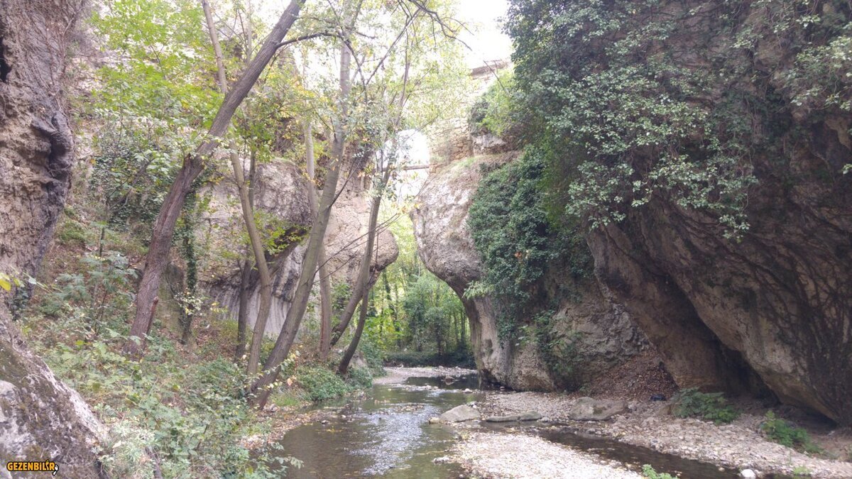 20161015_142315.jpg